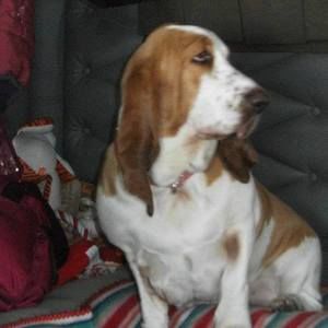 Meet your Posher, Jean